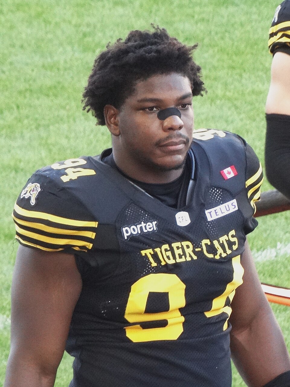 Hamilton Ramírez