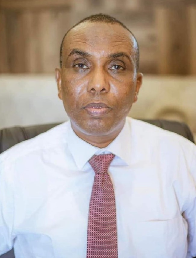 Hamsa Hassan Ibrahim
