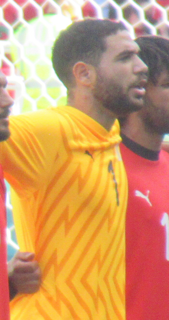 Hamza Alaa