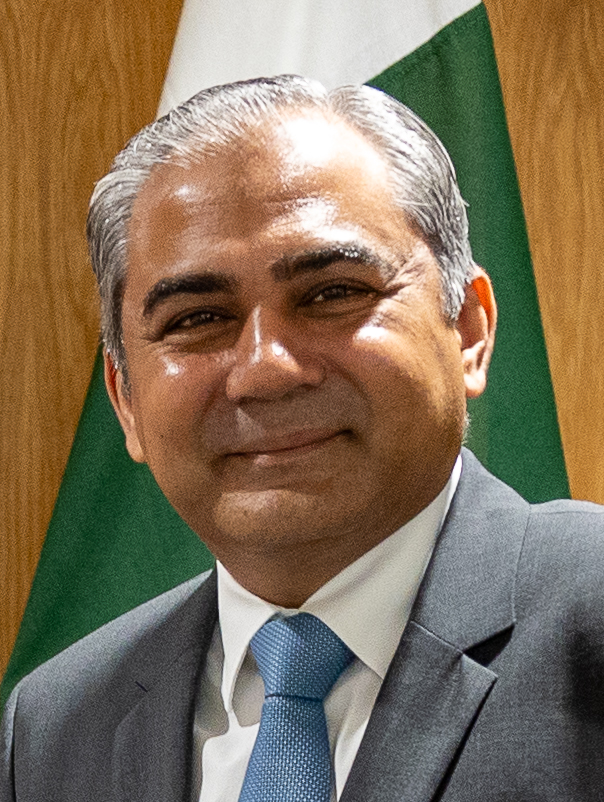 Hamza Naqvi