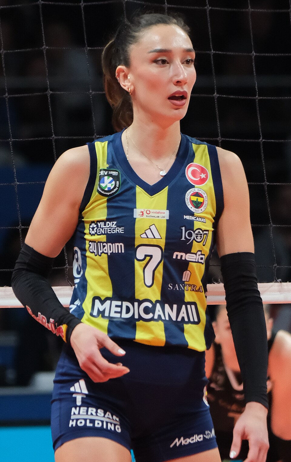 Hande Demir