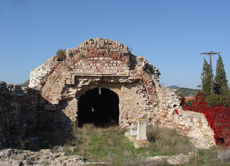 Hani Hamam