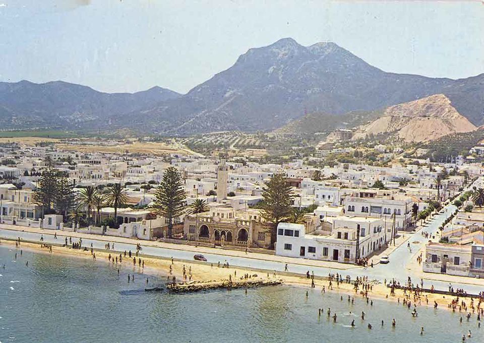 Hani Hammam