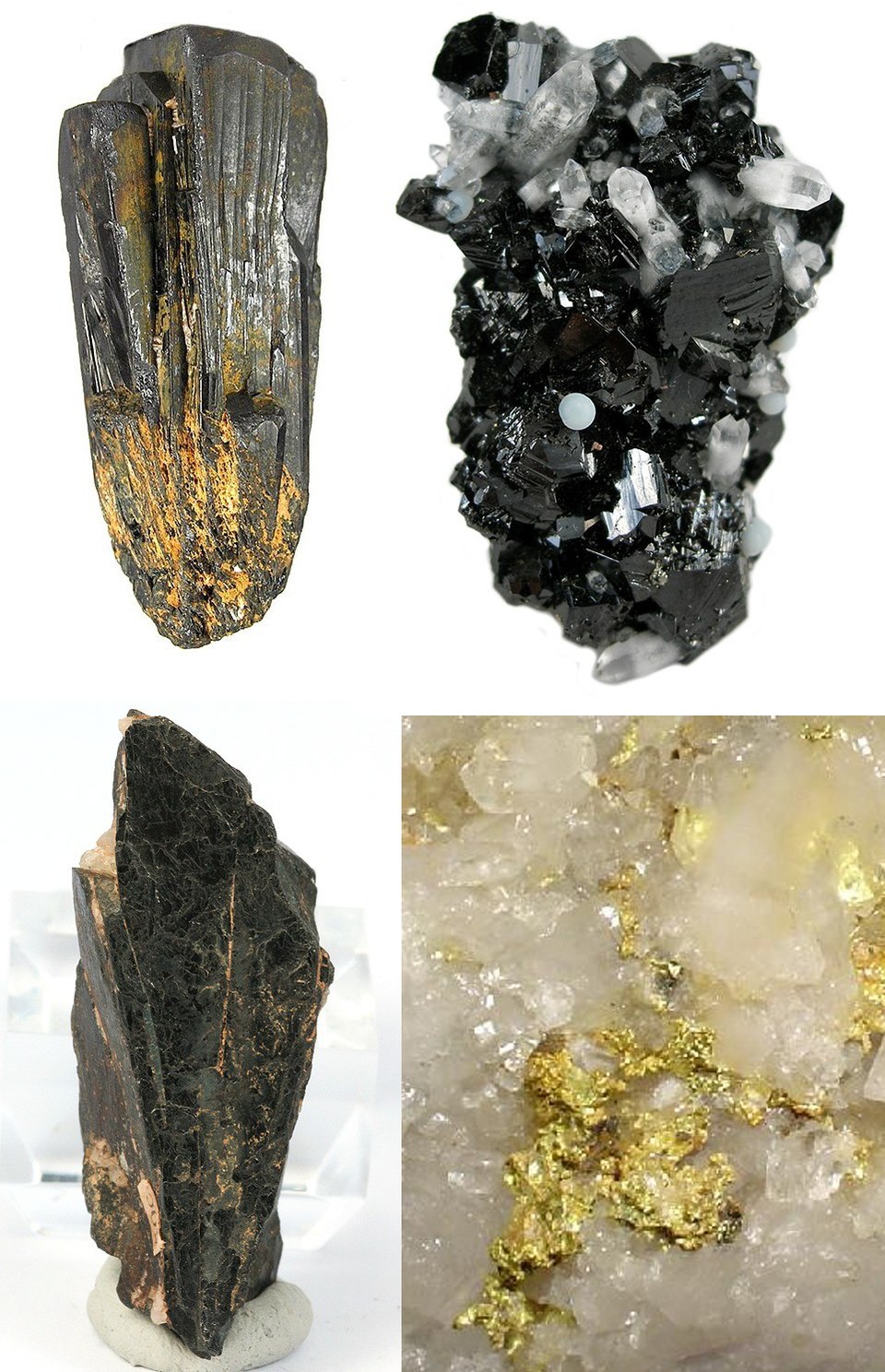 Hannes Hofmann