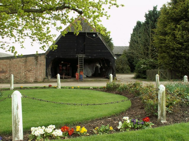 Hardy Green