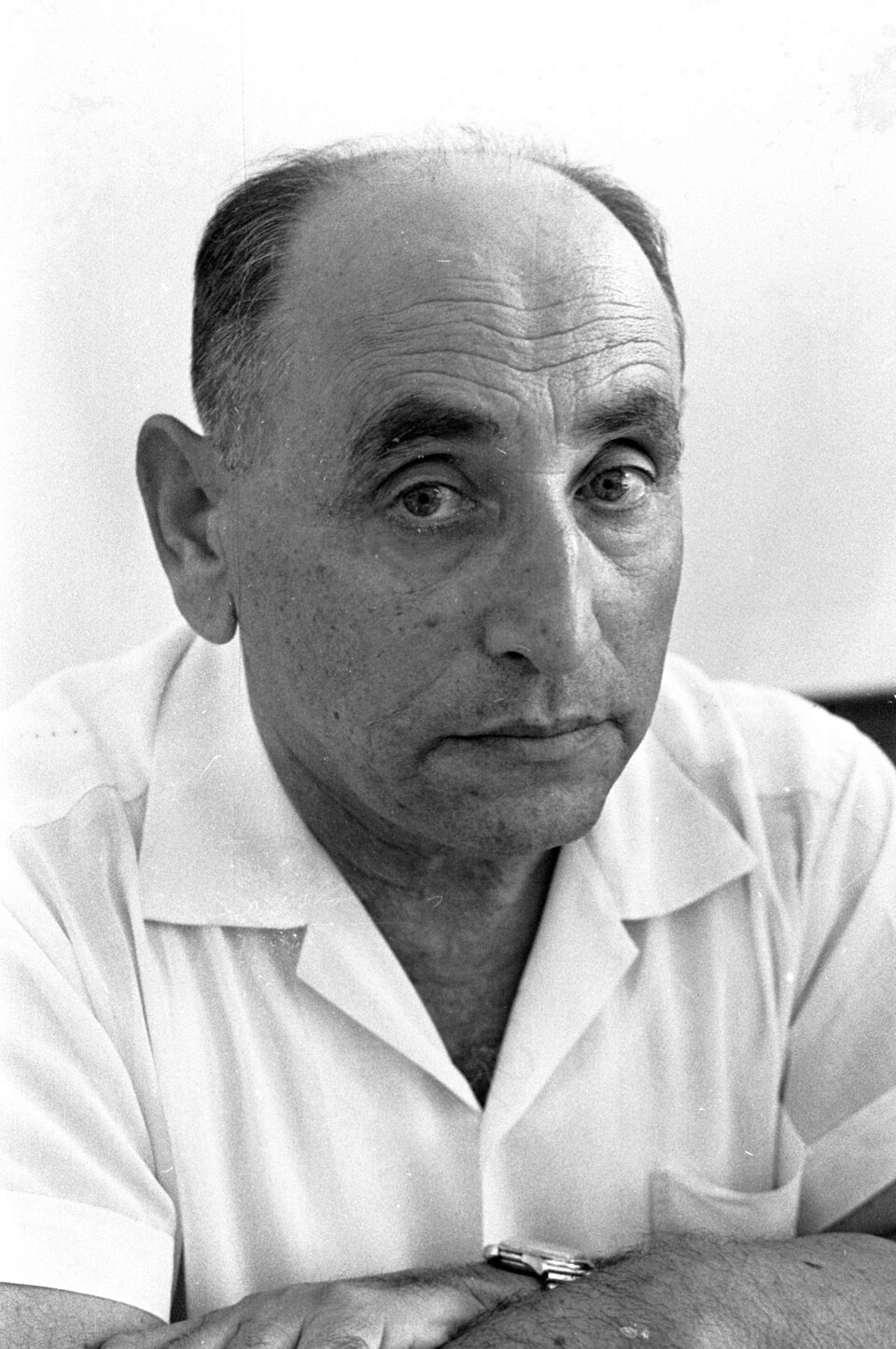 Harel Bar