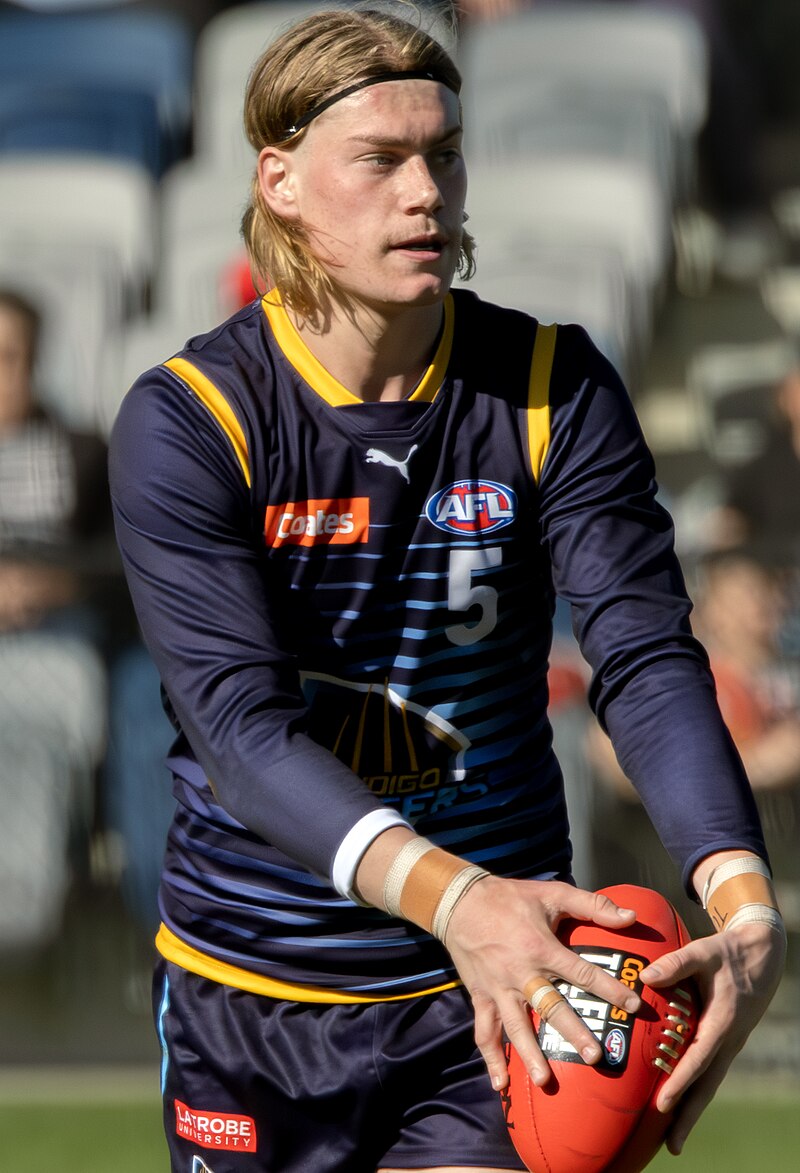 Harley Reid