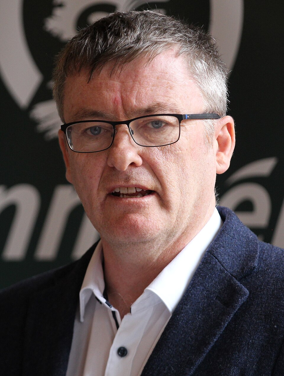 Harry Cullinane