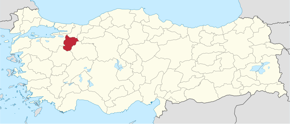 Hasan Uslu