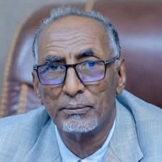 Hassan Abdalle Ali