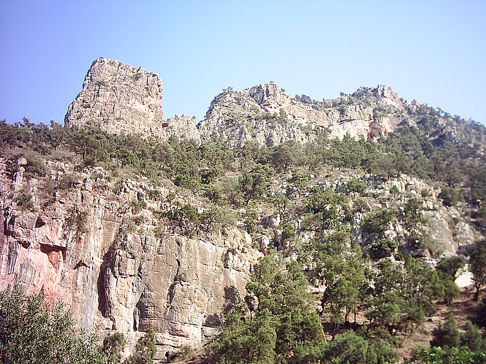 Hassan Leli