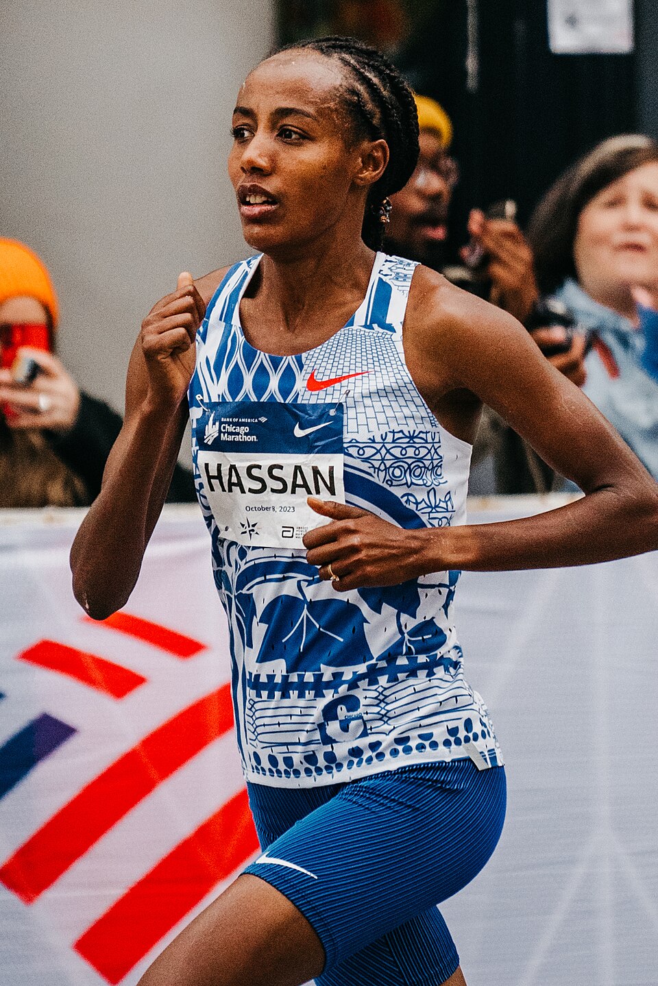 Hassan S A H M