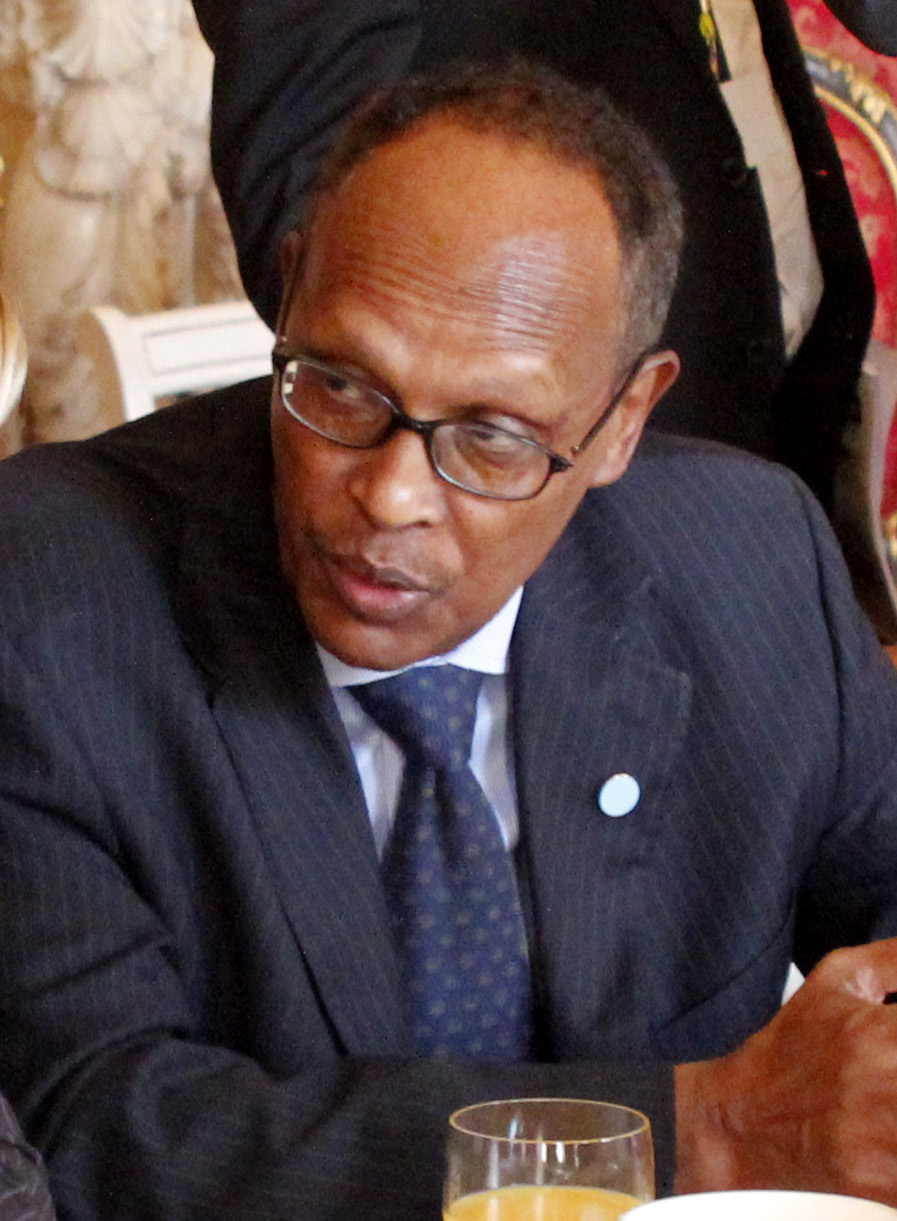 Hassan Suleiman