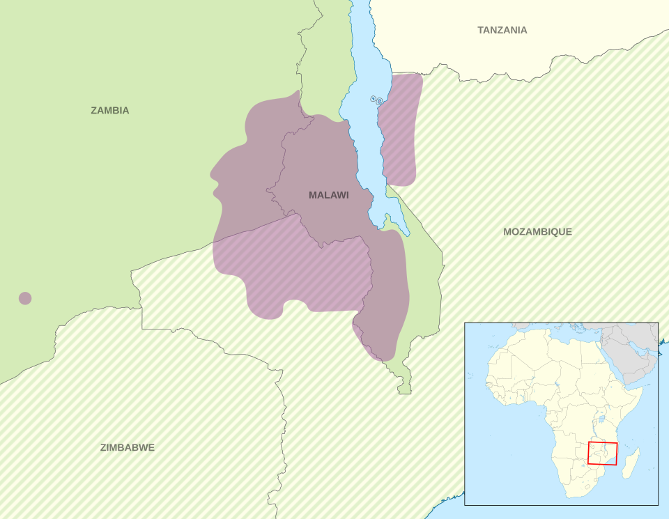Hastings Ngoma