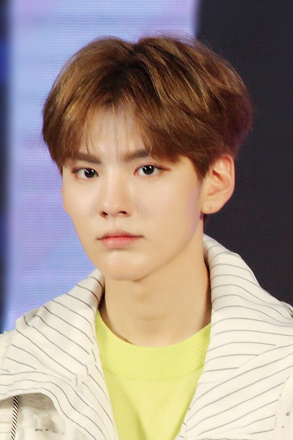 He Wenjun