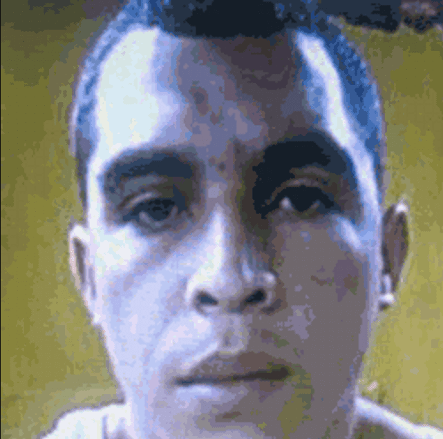 Héctor Flores