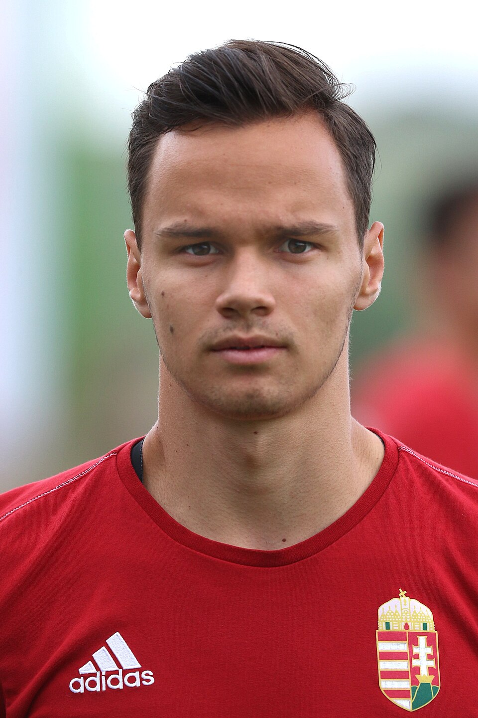 Hegedűs Máté