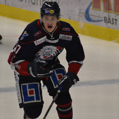Henrik Törnqvist