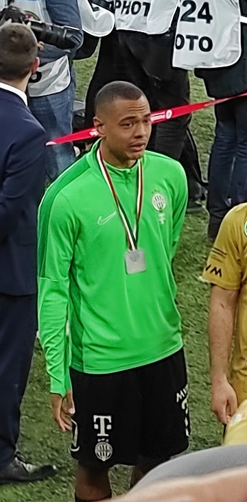 Henry Kupa