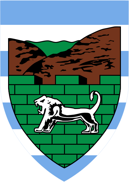 Hezi Nehama