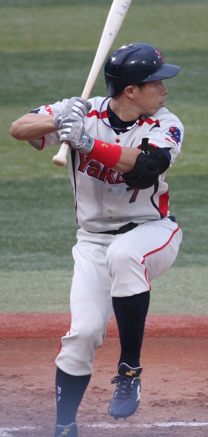 Hiroyasu Tanaka