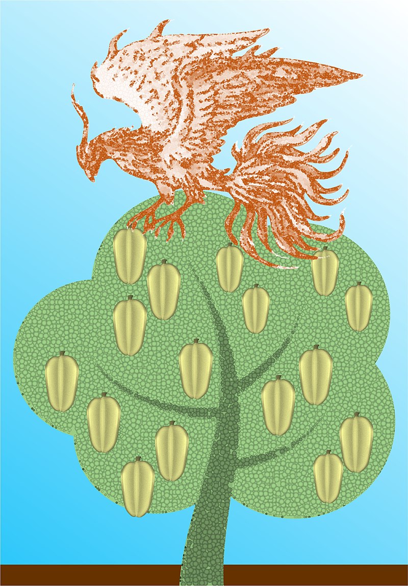 Hồng Tơ