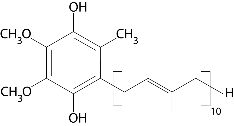 Hou Shanshan
