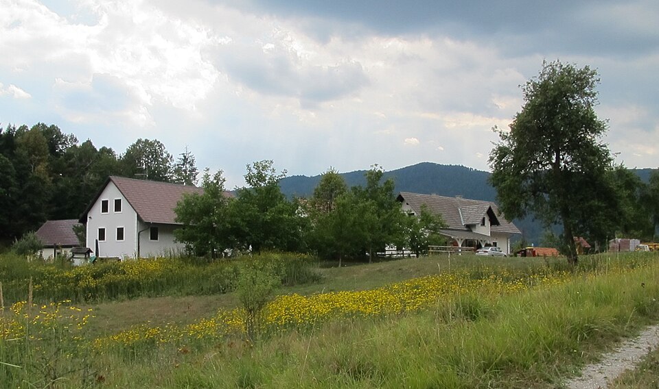 Hubert Kosler