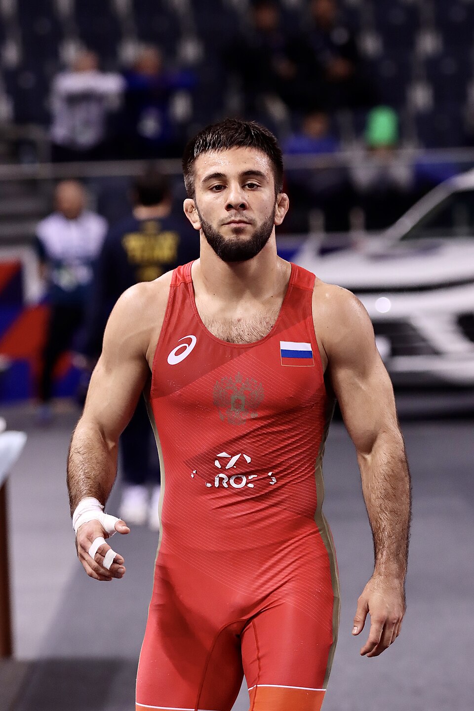 Ibragim Ibragimov