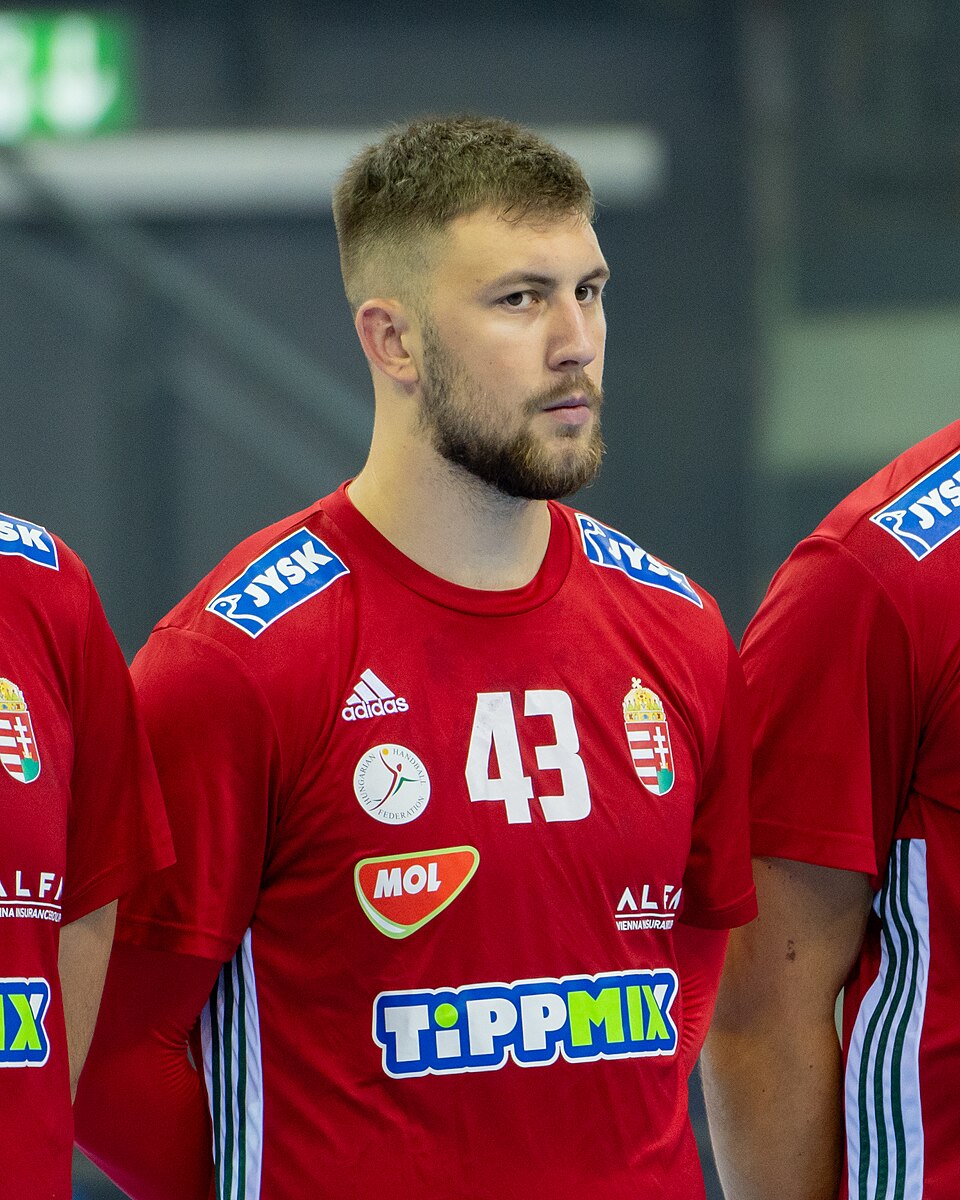 Ilic Zoran