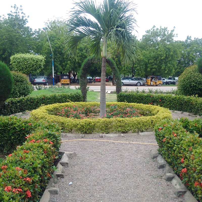 Iliyasu Abubakar