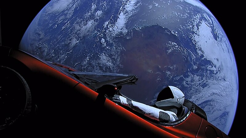 Ilona Musk