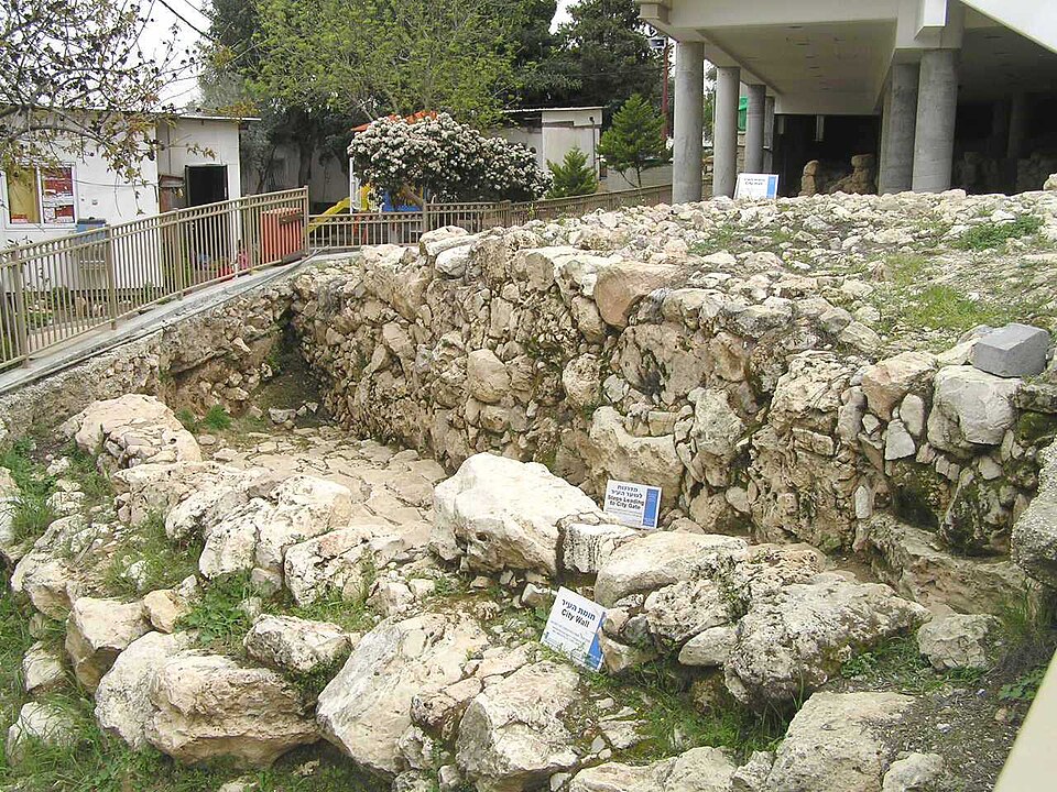 Imad Abu Shamsiyeh
