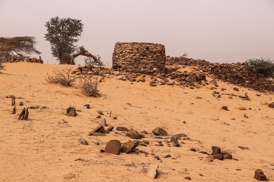 Imam Ould Cheikh