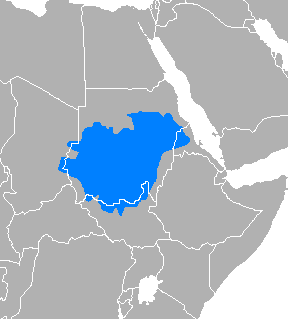 Ingaja