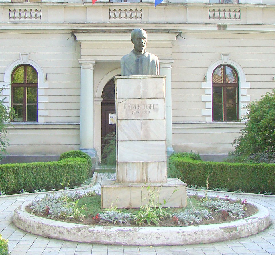 Ion Bradea