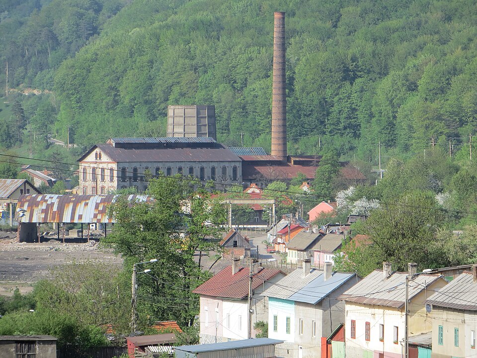 Ion de la Anina