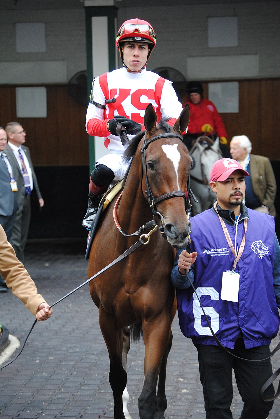Irad Ortiz