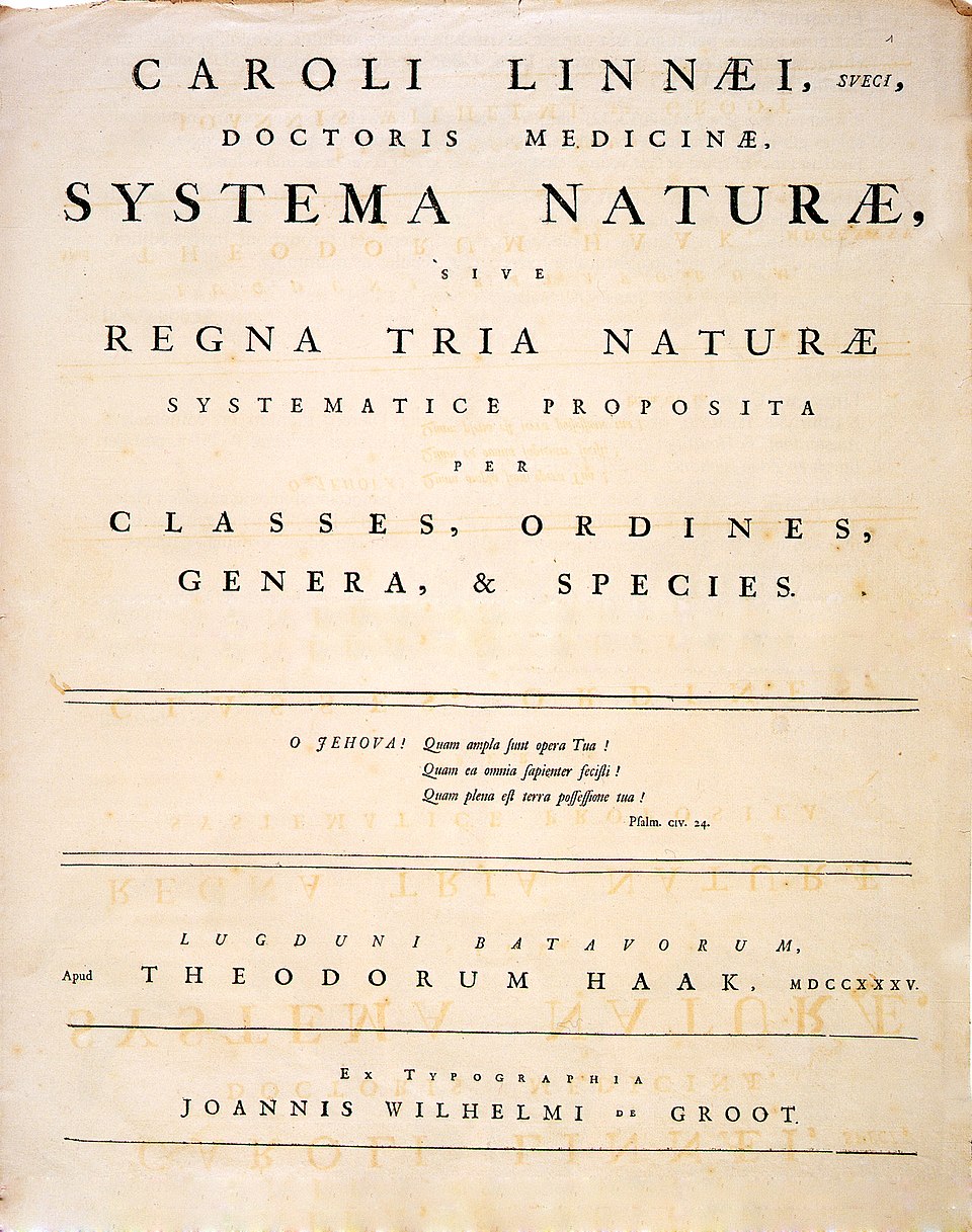 Irena Tatti