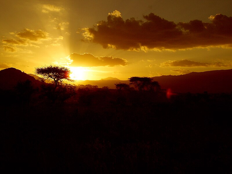 Irene Muthoni