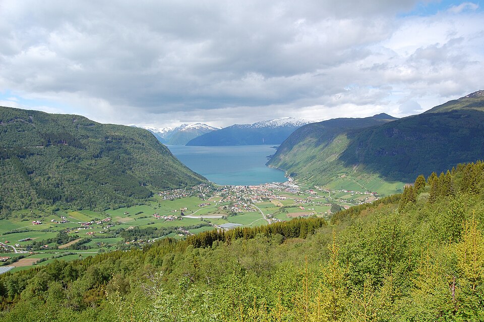 Irene Vik