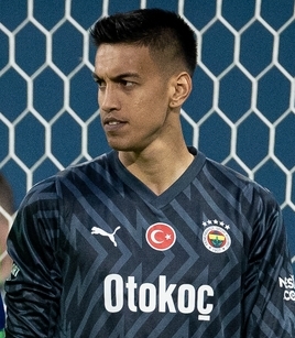 Irfan Egribayat
