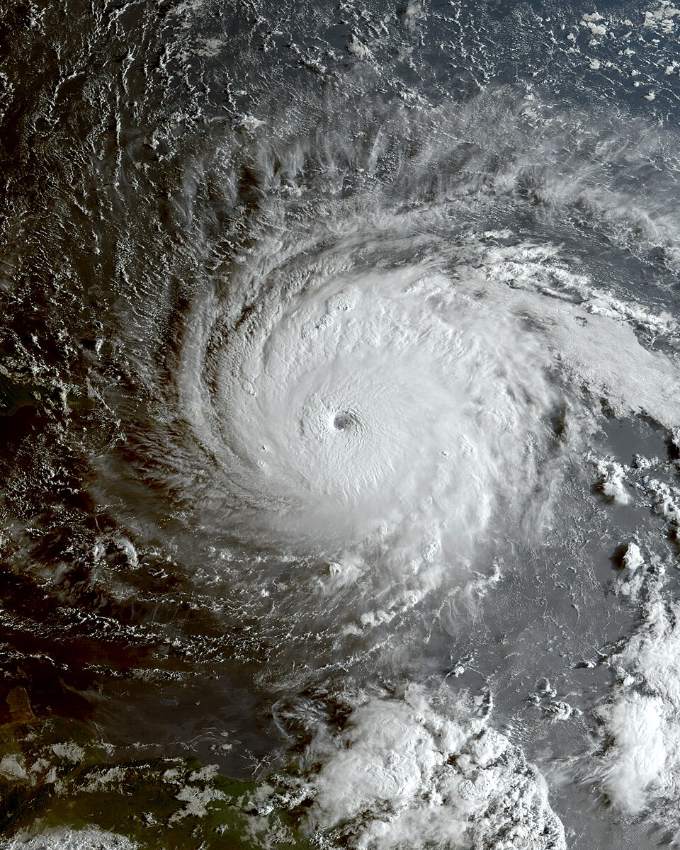Irma Cayo Sánchez