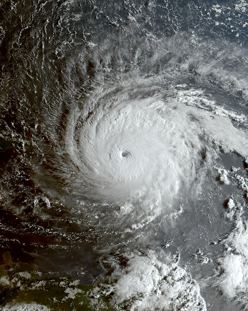 Irma de Wind