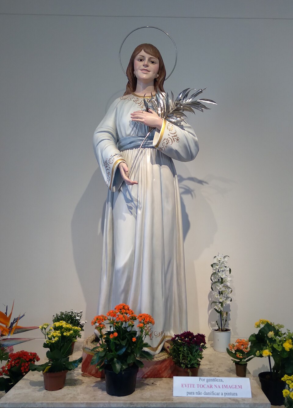 Isabel Campo
