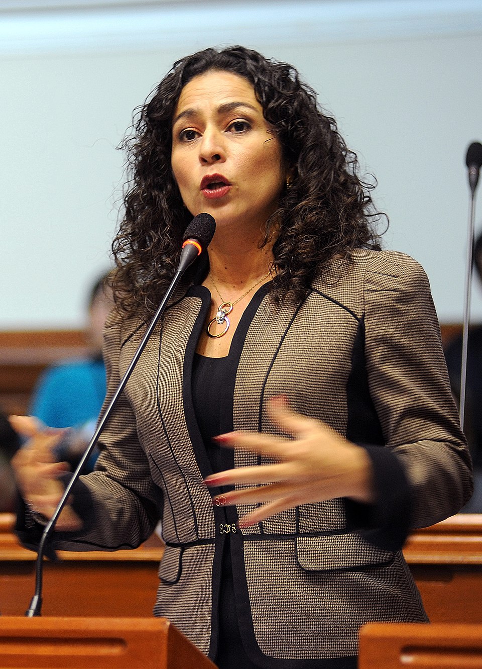 Isabel Chacón Rojas