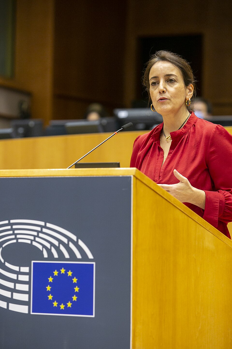 Isabel Estrada Carvalhais