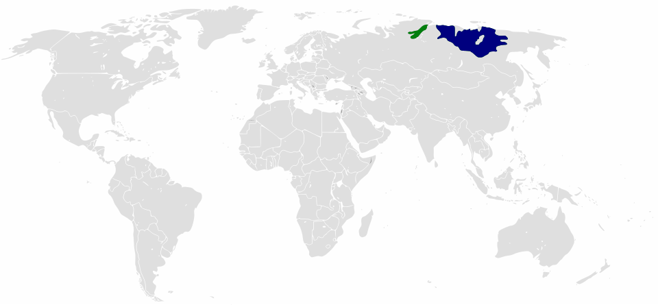 Islam Yakut