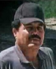 Ismael El Mayo Zambada