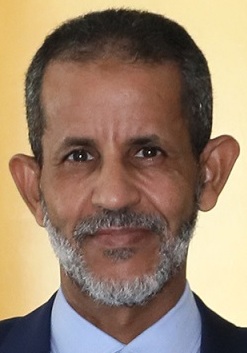 Ismail Ould Cheikh Sidiya